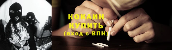 mdpv Бородино