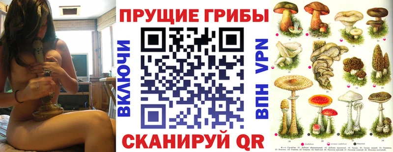 где продают наркотики  Невьянск  Псилоцибиновые грибы прущие грибы 